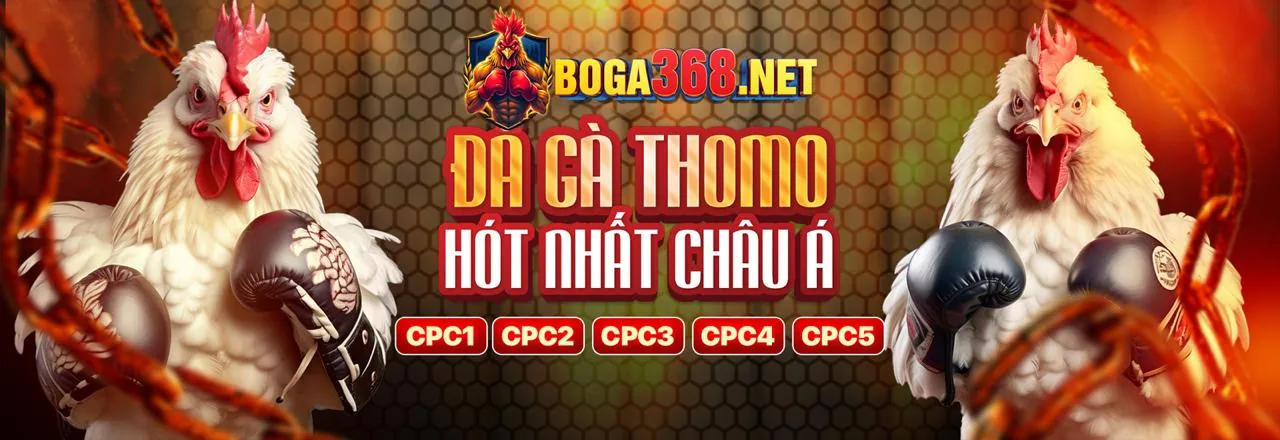 Hướng dẫn cá cược thể thao j88vip0 chính thức cho người mới bắt đầu